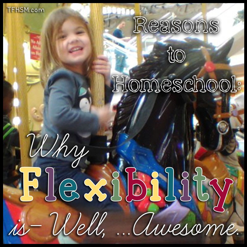 reasons to homeschool number 4 - flexibility s